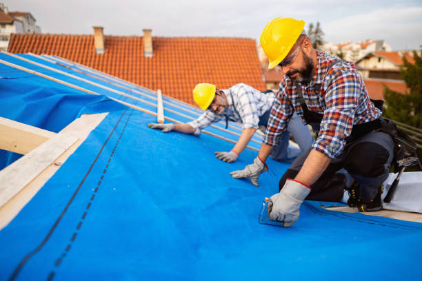 Roof Gutter Cleaning in Epworth, IA